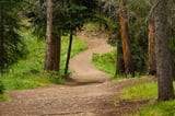 If things get busy on customer support, consider going outside for a walk. Just don’t get lost…