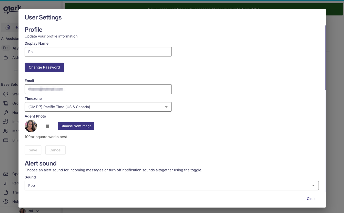 screenshot of the user settings modal