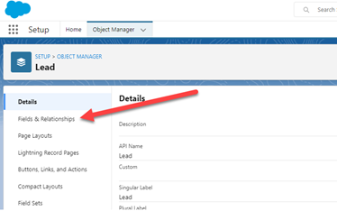 Salesforce &ndash; Fields and Relationships